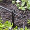 Raindrip Raindrip Spot Drip Irrigation Dripper 0.5 gph 10 pk PC2010B - alternate 5